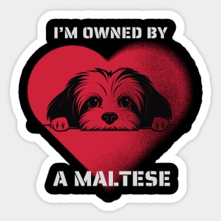 I am Owned by a Maltese Gift for Maltese  Lovers Sticker